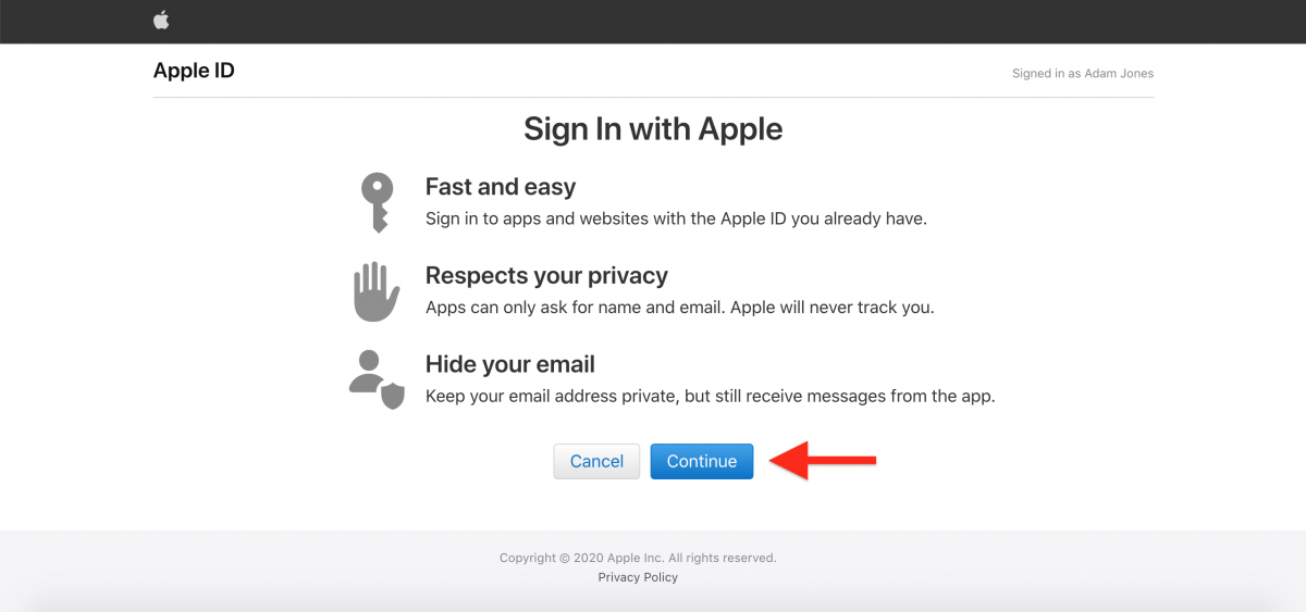 Read the privacy information and continue the authentication with your Apple ID.