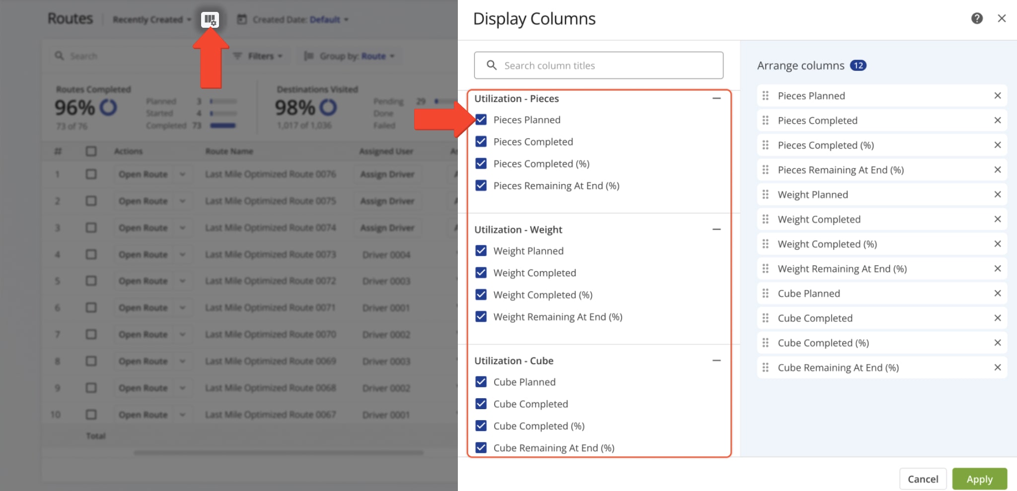 To review capacity constraints in your Routes List, check the boxes for the constraints you want to see.