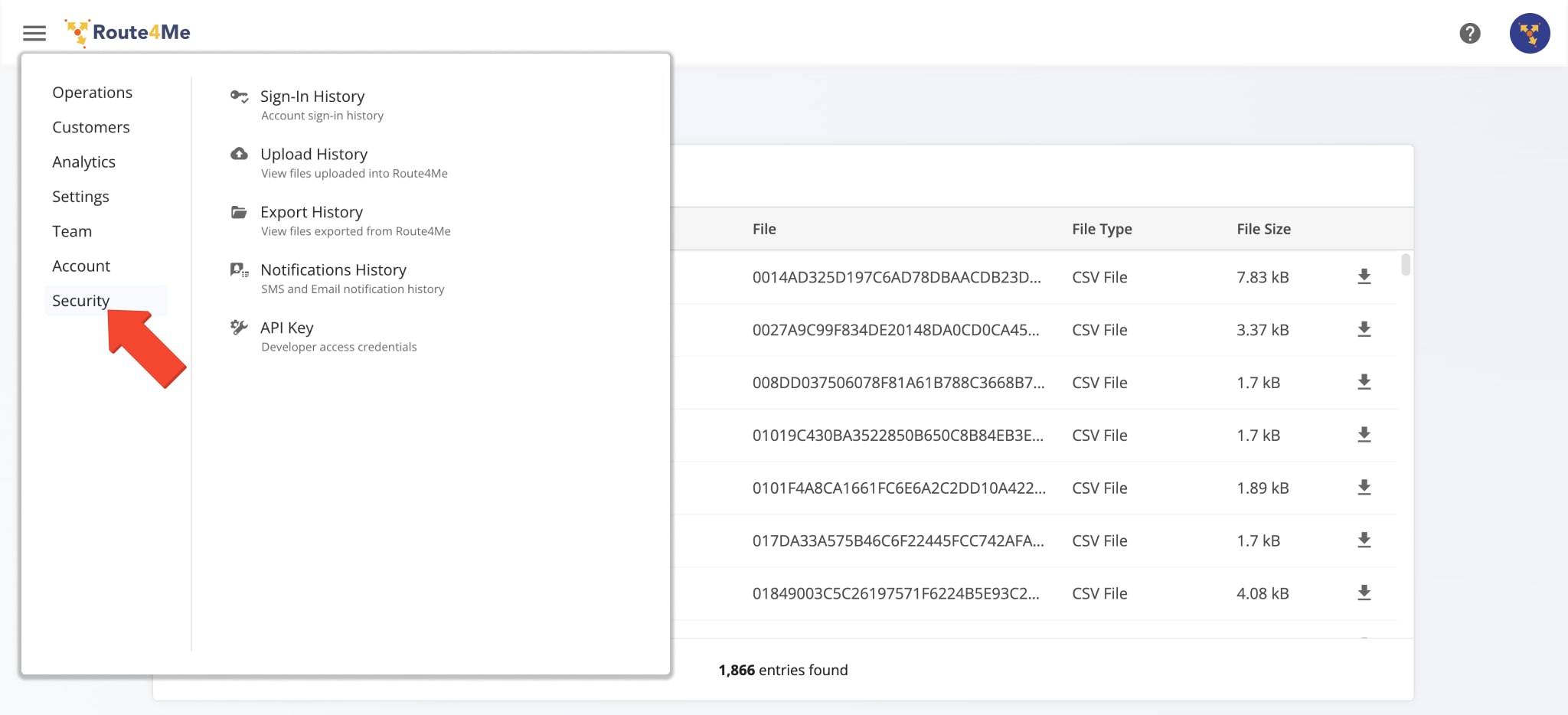 To ensure you always have a comprehensive overview of the activity on your Route4Me account, the Enterprise Route Planning Software provides detailed history records of all activity on your account.