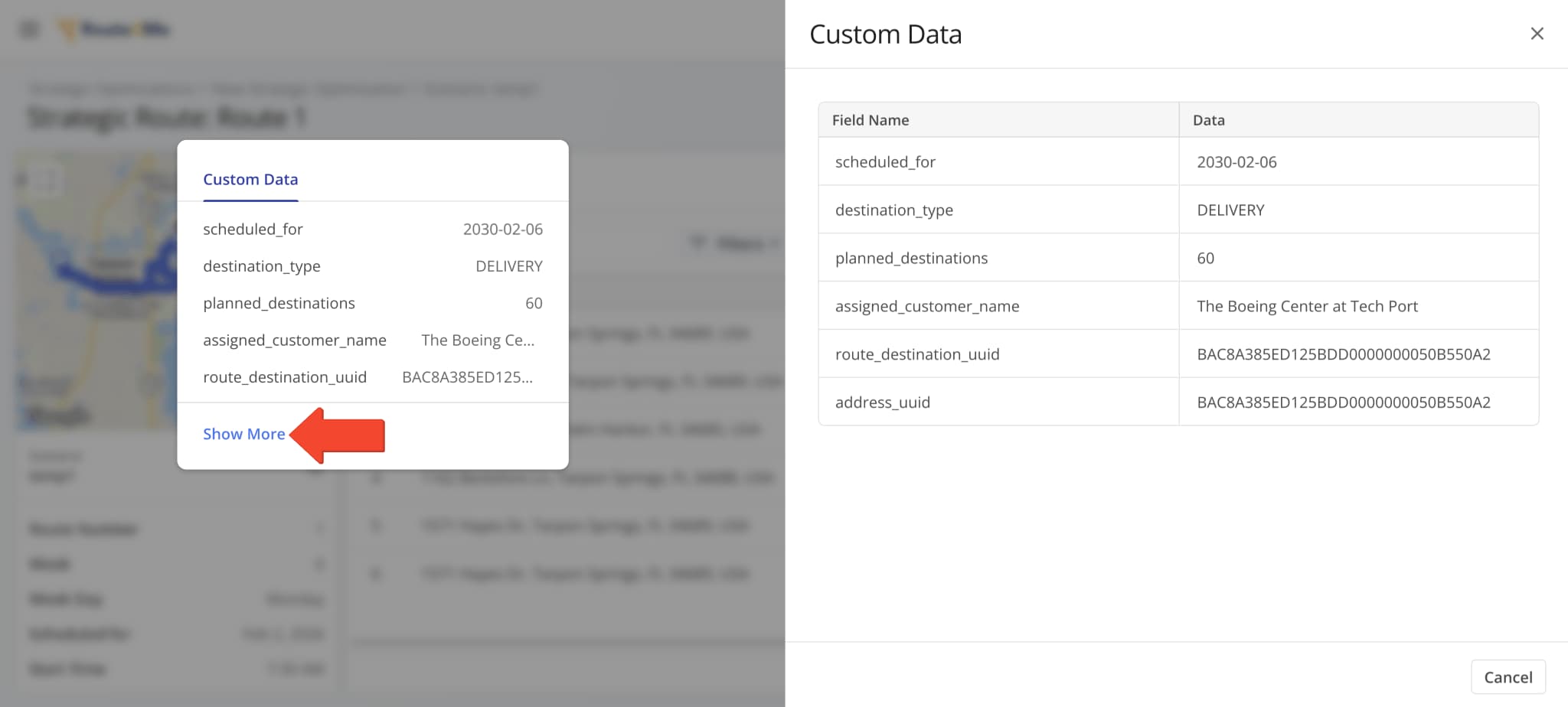 You can click Show More"to open the Custom Data panel, which shows all of a destination